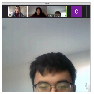 Video Call of Team!
